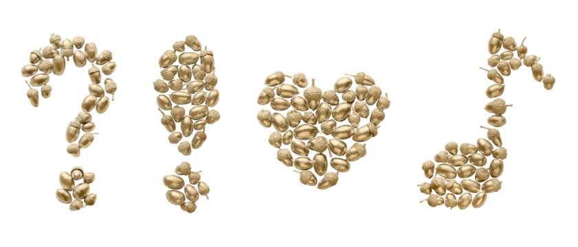 木の実の記号 マーク 背景透過 png