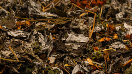 Dry tea leaves as a background.