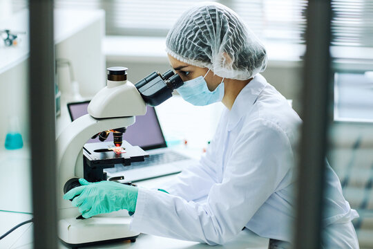 Side view portrait of young female technician looking in microscope while working in medical lab