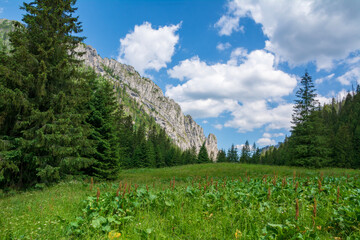 Summer landscape at Tatra national park ,Zakopane. © AGITA LEIMANE