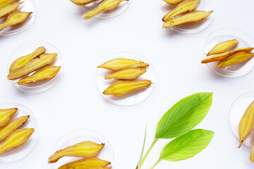 Finger root  in petri dishes