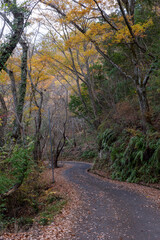 Obraz premium 日本の岡山県備前市日生のみなとの見える丘公園の美しい秋の風景