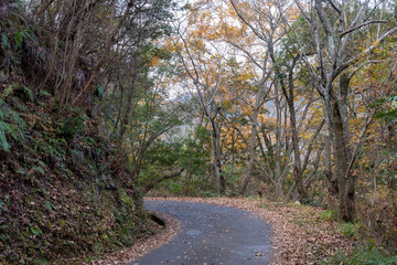 Fototapeta premium 日本の岡山県備前市日生のみなとの見える丘公園の美しい秋の風景