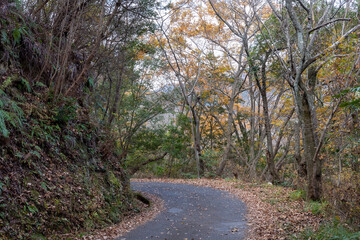 日本の岡山県備前市日生のみなとの見える丘公園の美しい秋の風景