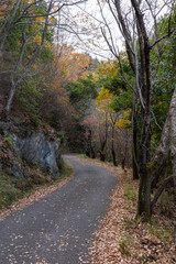 日本の岡山県備前市日生のみなとの見える丘公園の美しい秋の風景