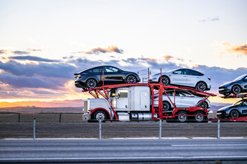 White and red classic car hauler semi truck transporting cars on the hydraulic semi trailer driving...