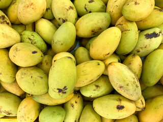 Fresh mangoes display for sale at fruit stall