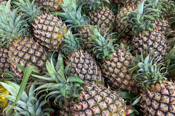 Fresh pineapples display  for sale at fruit stall