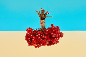 viburnum on a blue-yellow background