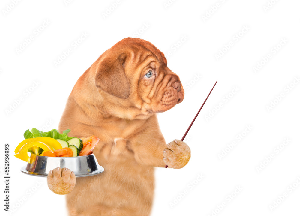 Aufkleber Laughing puppy holds bowl of vegetables and points away on empty space. isolated on white background