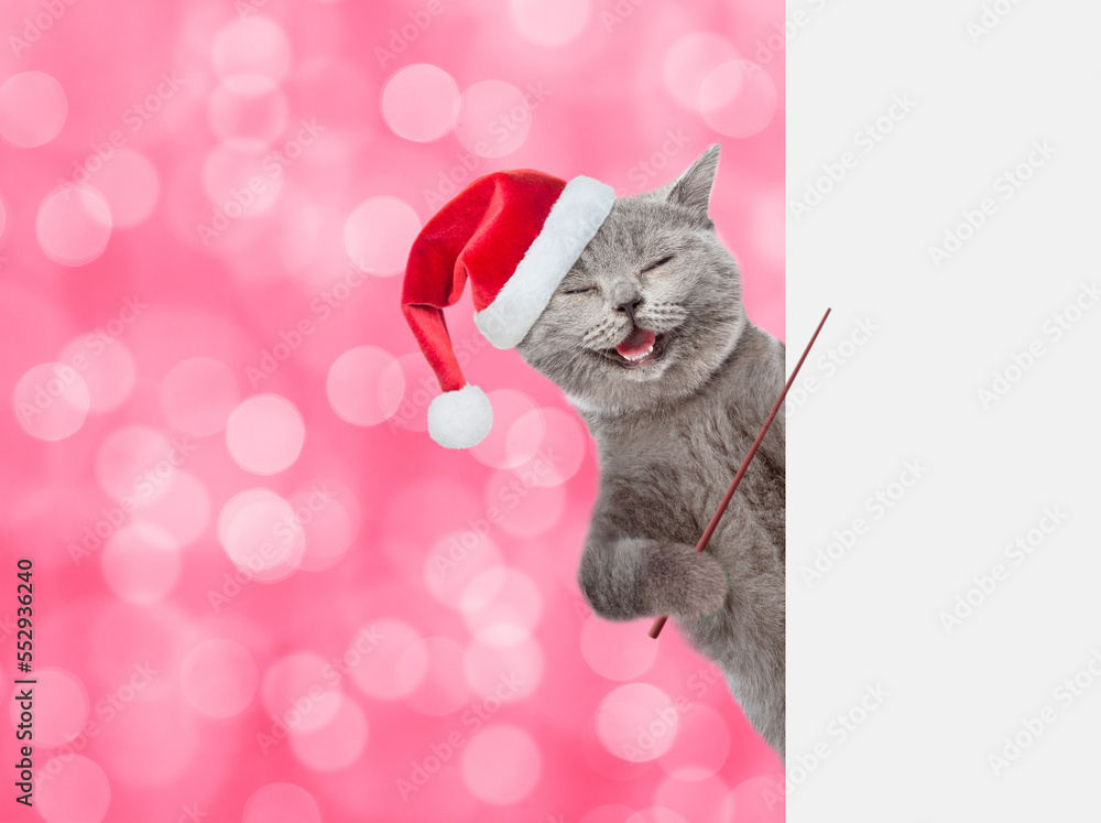 Poster happy cat wearing red christmas hat points on empty white banner. shade trendy color of the year 202