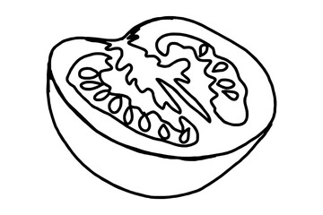 Food - Slice of Tomato Fruit Line Art Vector