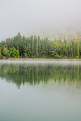 Idyllic landscape about a lake with some fog and surrounded by green trees