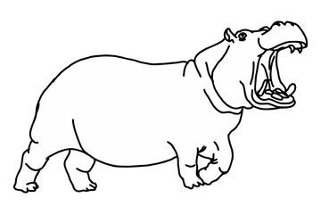 Big hippopotamus