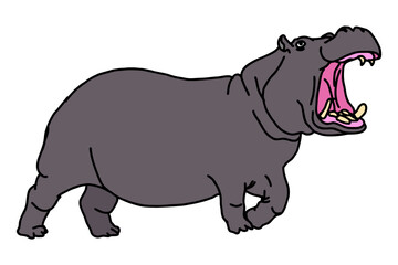 Big hippopotamus