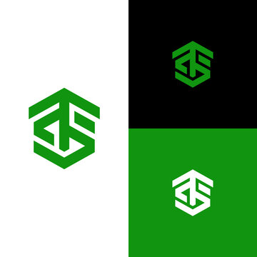 Initial TS letter logo, bold monogram hexagon