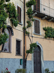 Fototapeta na wymiar Old ancient historical architecture in Italia. Traditional European buildings with wooden windows, shutters, pastel walls, green plants with flowers. Summer holidays vacation travel concept
