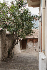 Obraz premium Historic Italian architecture. Traditional European old rustic buildings and tree. Aesthetic summer vacation travel concept