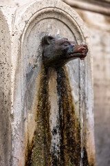 Wolf head public water fountain, Rome, Italy