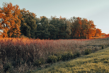 le marais aux couleurs de l'automne