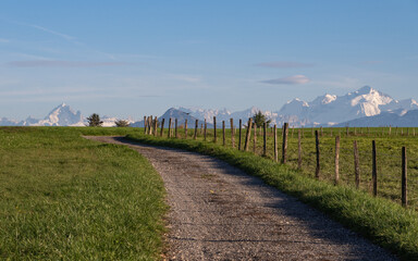 Fototapeta na wymiar chemin de campagne avec vue sur les Alpes et le Mont -Blanc