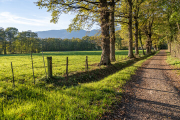 Chemin de campagne au pays de Gex