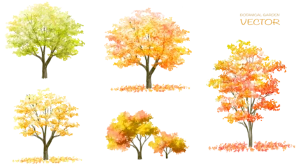 Foto op Canvas Vector watercolor blooming flower tree or forest side view isolated on white background for landscape and architecture drawing,elements for environment and garden,botanical for section in autumn © Chanya_B