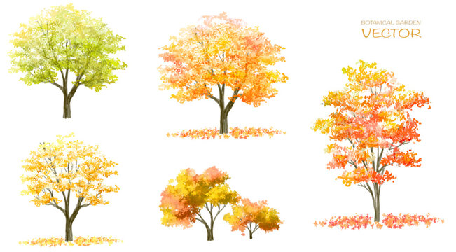 Vector watercolor blooming flower tree or forest side view isolated on white background for landscape and architecture drawing,elements for environment and garden,botanical for section in autumn