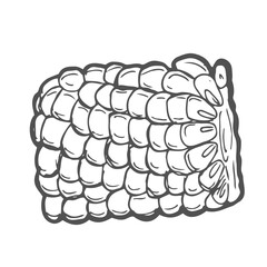 Doodle outline corn piece. Vector hand-drawn illustration for packing isolated on transparent background