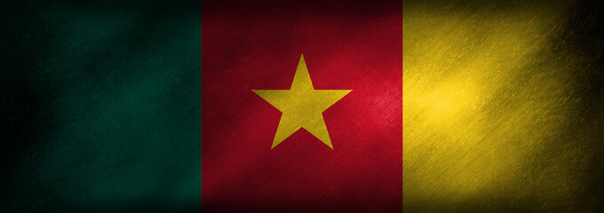 The flag of Cameroon on a retro background