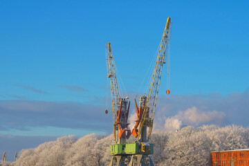 Port cranes and trees are covered with frost on a frosty day.