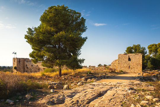 Ruins of the ancient Antipatris