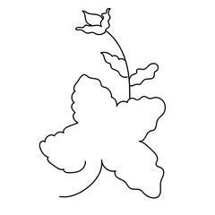 abstract flower single line hand drawn element