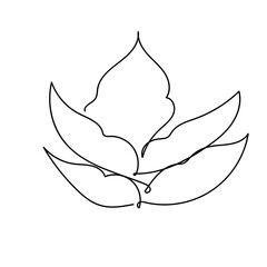 abstract leaf single line hand drawn element