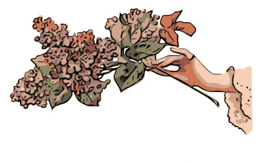 Fototapeta premium female hand holding flowers vintage illustration