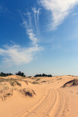View of the Oleshkiv sands - the Ukrainian desert near the city of Kherson. Ukraine