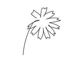 abstract flower single line hand drawn element