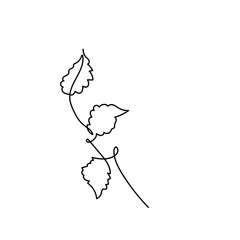 Fototapeta premium abstract leaf single line hand drawn element