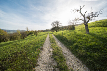 beautiful landscape from a path against the sun