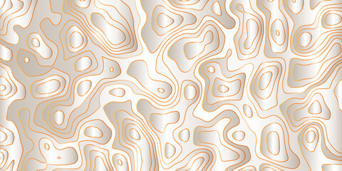 3d Vector Background of the topographic map.Geographic line mountain relief.Topographic contour map background with space for copy.abstract vector illustration with geographic grid.