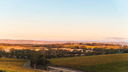 McLaren Vale panorama at sunset in South Australia.