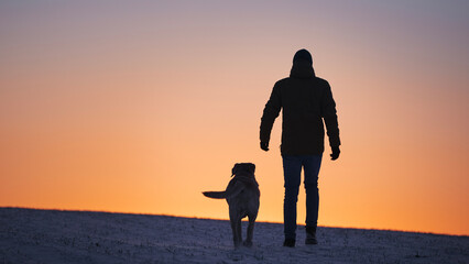 Silhouettes of man with dog. Pet owner and labrador retriever are walking on snowy fields at dawn..