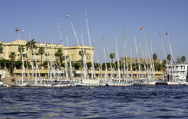 boat trip on the red sea in egypt