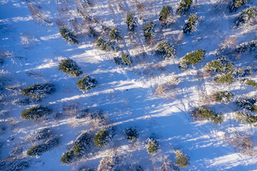 Two Snowboarders riding through winter forest on snow road, aerial top view