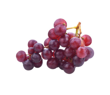 Grapes. Red grape. Grape branch isolated transparent png