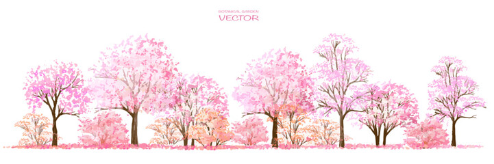 Vector watercolor blooming flower tree or forest side view isolated on white background for landscape and architecture drawing,elements for environment and garden,botanical for section in spring