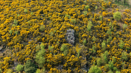 Dartmoor National Park landscape and hills, Devon England UK