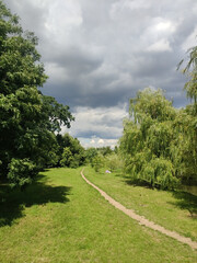 Fototapeta na wymiar a small path in a green park in summer