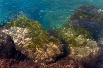 Rocas en agua cristalina cubiertas de algas en la orilla del Mediterráneo