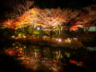 ライトアップされたリフレクション紅葉